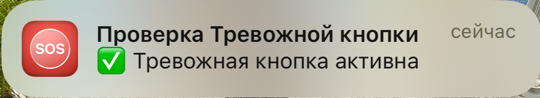 img_3809.png
